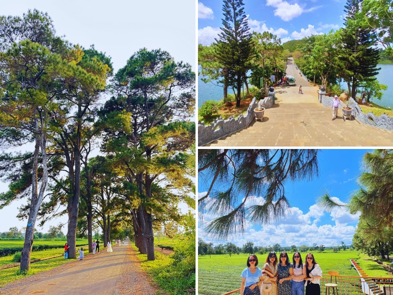Tour du lịch Gia Lai - Măng Đen từ Nha Trang