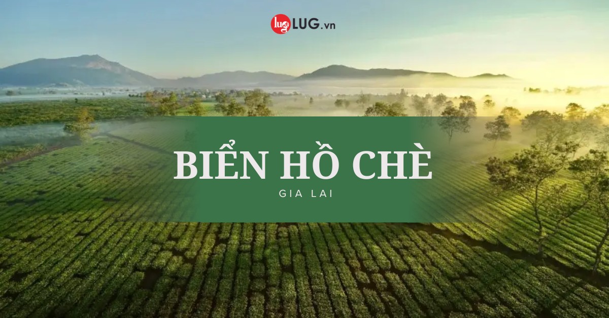 Biển Hồ Chè Gia Lai