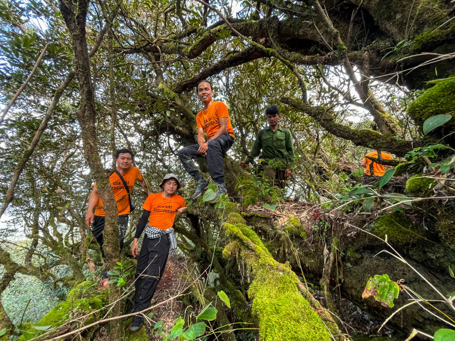 Trekking đỉnh Đá Trắng Kon Ka Kinh