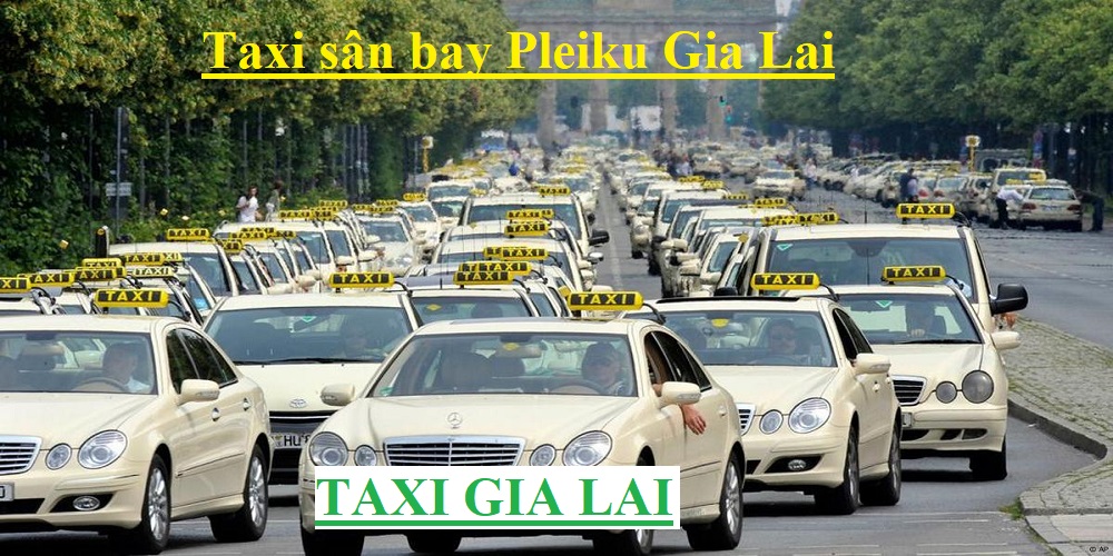 Taxi Pleiku