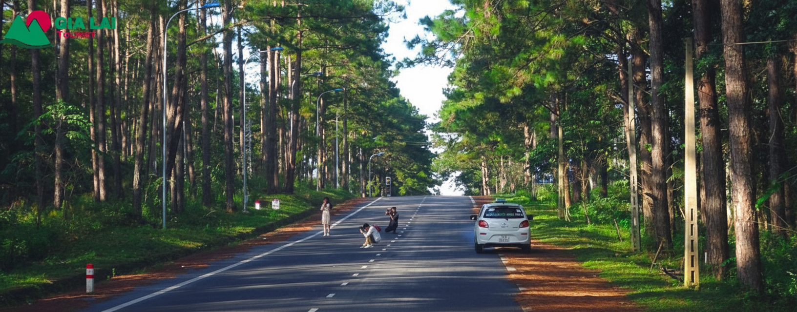 View rừng thông Măng Đen khách sạn View rừng thông Măng Đen khách sạn